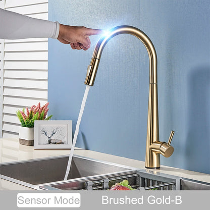 2 Function Touch Control Pull Out Sensor Kitchen Faucet