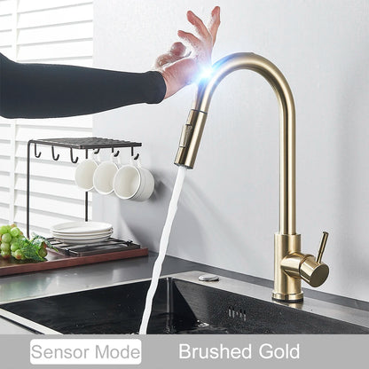 2 Function Touch Control Pull Out Sensor Kitchen Faucet