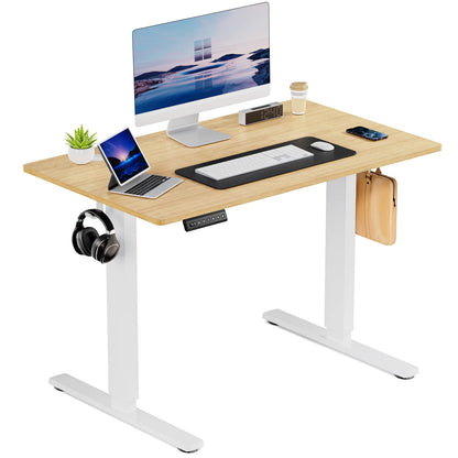 Modern Electric Standing or Sitting / Height Adjustable Workstation