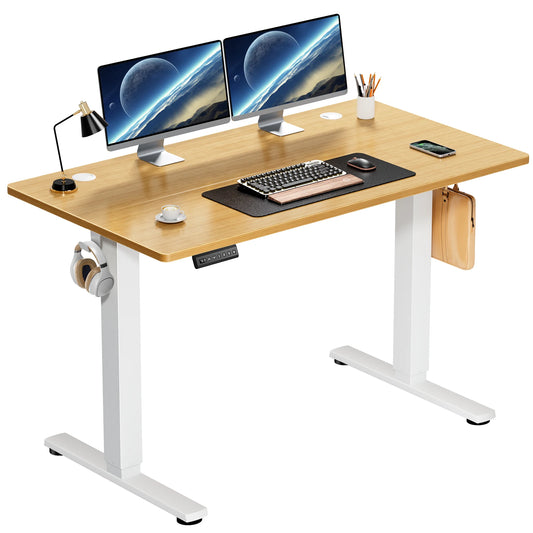 Modern Electric Standing or Sitting / Height Adjustable Workstation