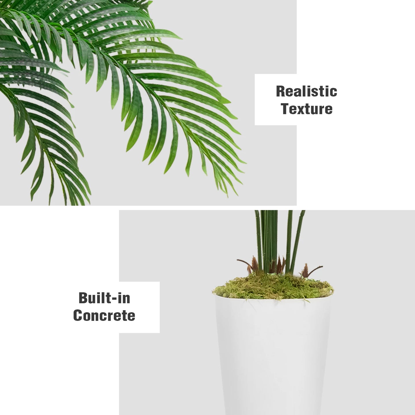 Silk Palm Tree - Beauty Without the Maintenance