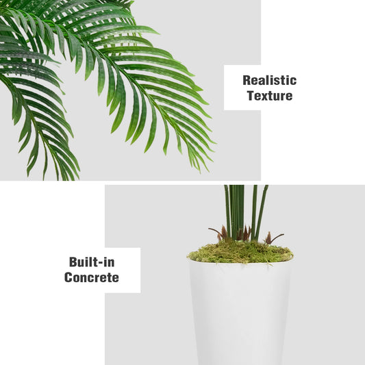 Silk Palm Tree - Beauty Without the Maintenance