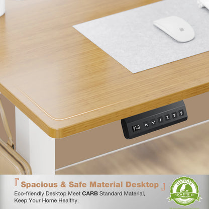 Modern Electric Standing or Sitting / Height Adjustable Workstation